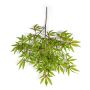 Rama de arce japonés artificial ALEXANDER, verde claro-rojo, 60cm