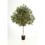 Olivo artificial NIKOLAS, tronco natural, frutos, verde, 150cm