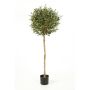 Olivo artificial PLATON, tronco real, con frutos, 140cm, Ø55cm