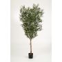 Olivo simulación PHILIPOS, tronco natural, frutos, verde, 180cm