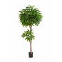 Pachira artificial EURELYO, tronco real, verde, 150cm