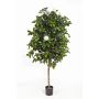 Camelio artificial RIKA, tronco real, flores, blanco, 170cm