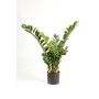 Zamioculca artificial AKONO, verde, 100cm