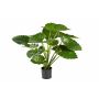 Alocasia artificial SALONI, verde, 75cm