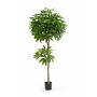 Pachira artificial EURELYO, tronco real, difícil inflamar, verde, 180cm