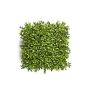 Estera boj artificial TOM, verde, 25x25cm