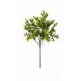 Seto boj artificial TOM, verde, 45cm