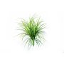 Junco artificial ELIAS, en vara de fijación, verde, 75cm
