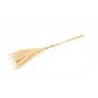 Hierba de la pampa seca ANAHITA, natural, 60 cm, Ø 8 cm