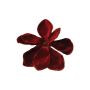 Magnolia de terciopelo YUNFAN, rojo burdeos