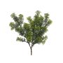 Planta decorativa de Limnophila sessiliflora NAYANA, varilla de ajuste, verde, 35cm