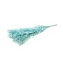 Ramitas secas de rusco AGNIATA, azul claro, 70-75 cm, Ø 17 cm