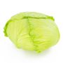 Coliflor falsa RAHEL, verde claro, 10cm, Ø17cm