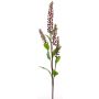 Rama decorativa de Phytolacca SULIYA, bayas, rojo burdeos, 95cm