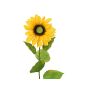Girasol de plástico DORINA, amarillo, 70cm, Ø12cm