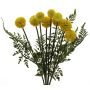 Arreglo artificial de Craspedia MANXIA con helecho, varilla de ajuste, amarillo, 40cm