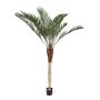 Palmera fénix de imitación ELITON, 210cm