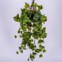 Colgante de yedra artificial MAJA, en vara de fijación, verde, 70cm