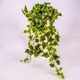 Colgante de yedra artificial MAJA, vara fijación, verde-blanco, 70cm