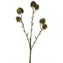 Rama decorativa de physalis CUIXIA con frutos, dorado antiguo, 40cm