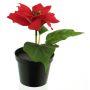 Poinsettia artificial NUORU en maceta decorativa, roja, 15cm