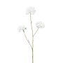Rama decorativa escabiosa DIHALLY, blanca, 80 cm