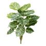 Planta decorativa Anthurie VOLHAN, varilla, verde-blanca, 50 cm