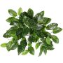 Hoya carnosa artificial QWARA en varilla, verde-blanca, 35 cm