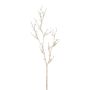Rama decorativa falsa baya FRILOX con bayas, champán, 85 cm