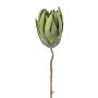 Flor artificial Protea LINDAR, verde, 70 cm