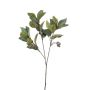 Rama artificial de eucalipto VIZIMIR con frutos, verde, 80 cm