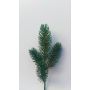 Rama de pino artificial ALOSANA, verde, 25 cm