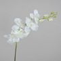Rama de orquídea Phalaenopsis artificial AMARNE, blanca, 90 cm