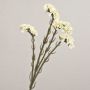 Flor artificial limoncillo AYISHA, aspecto seco, blanco, 65 cm