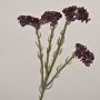 Flor artificial limoncillo AYISHA, aspecto seco, rojo burdeos, 65 cm