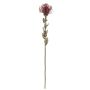 Flor artificial Protea URMINE, aspecto seco, rojo burdeos, 60 cm