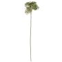 Viscum VARINKA con brotes, aspecto seco, verde, 55 cm