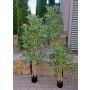 Bambú artificial SEUMAS, cañas de bambú auténticas, 120 cm