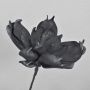 Magnolia artificial de espuma plástica AMILIE, brillante, negra, 30 cm, Ø 26 cm