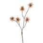 Rama artificial de hamamelis NUMBAT con flores, naranja, 70 cm, Ø 5 cm