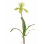 Orquídea Paphiopedilum artificial VELANA, varilla, verde y blanca, 40 cm