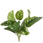 Filodendro artificial Monstera adansonii ARKADIO, varilla, 40 cm