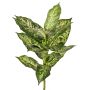 Dieffenbachia artificial VISP, difícilmente inflamable, varilla, verde-blanco, 40 cm