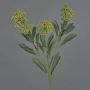 Plantas artificiales Rama de skimmia LAUSANA con flores, verde, 65 cm