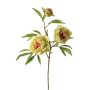 Rama de peonía artificial MANJA, verde-rosa, 70 cm, Ø 8-10 cm