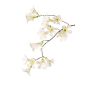 Rama de flor artificial trompeta de jazmín AURINA, blanco, 90 cm