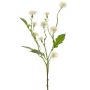 Flor artificial de margarita HOLLA, blanca, 55 cm