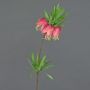 Flor artificial corona imperial IMST, rosa, 65 cm
