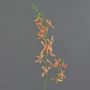 Rama de orquídea Cattleya artificial TRASSA, naranja-amarillo, 80 cm