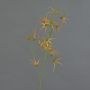 Rama artificial de Tweedia solanoides TOSAR, amarillo-verde, 70 cm